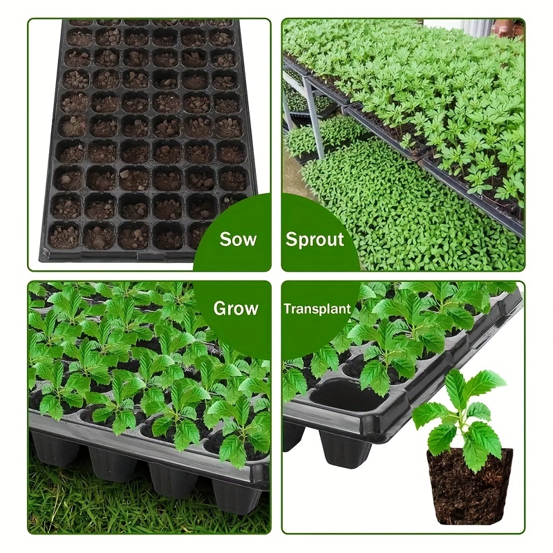 10, nursery tray, greenhouse g - Seed Starter Trays 评论和价格