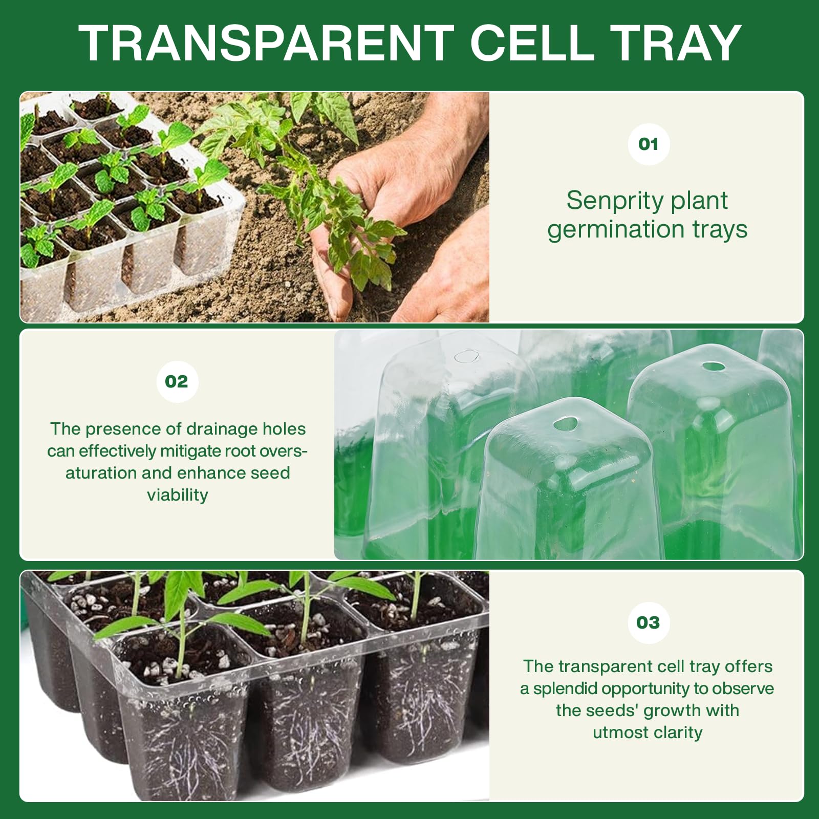 Seed Starter Tray with Plant L - Seed Starter Trays 评论和价格