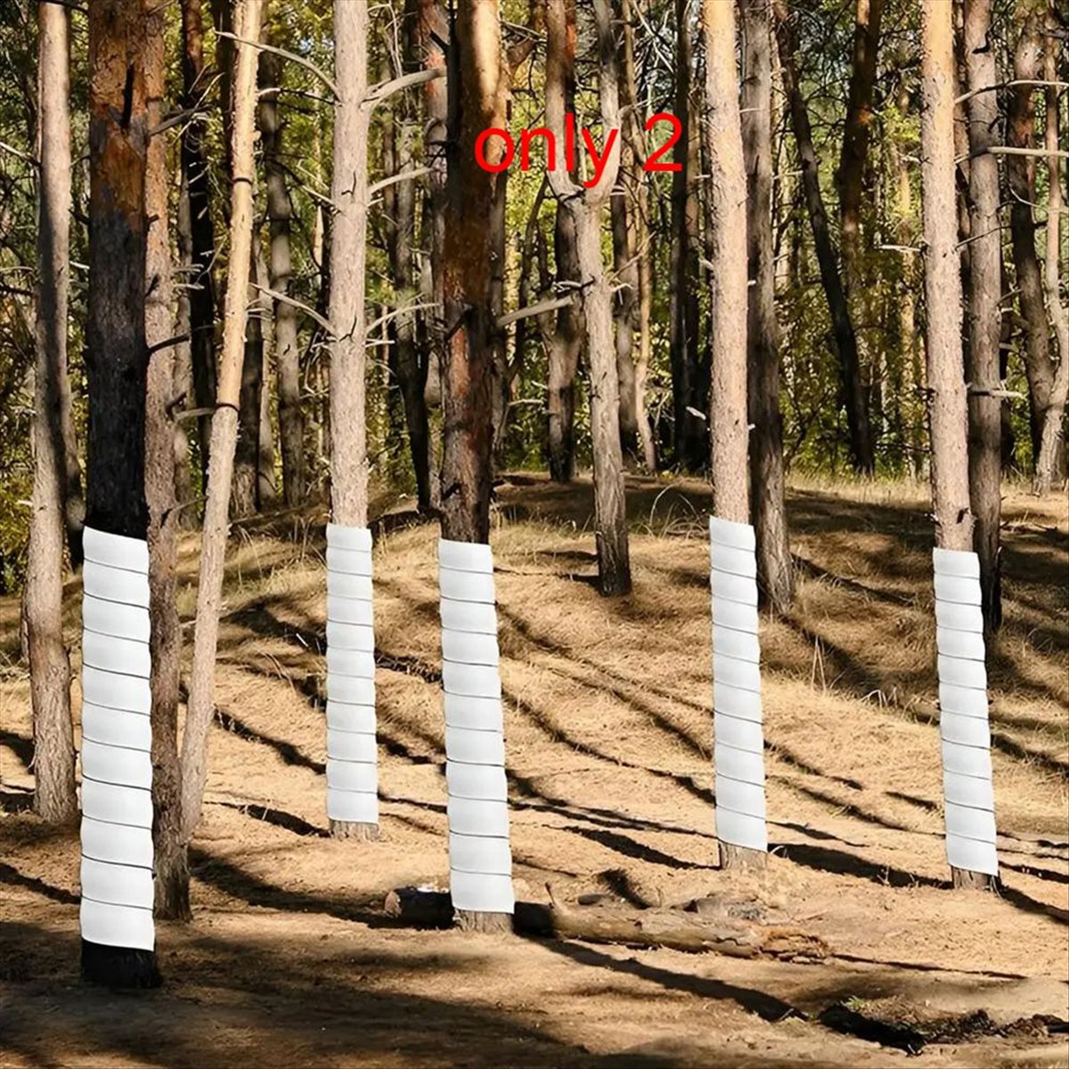 A75K Plant Tree Trunk Protecto - Gardening Tools B&M 评论和价格