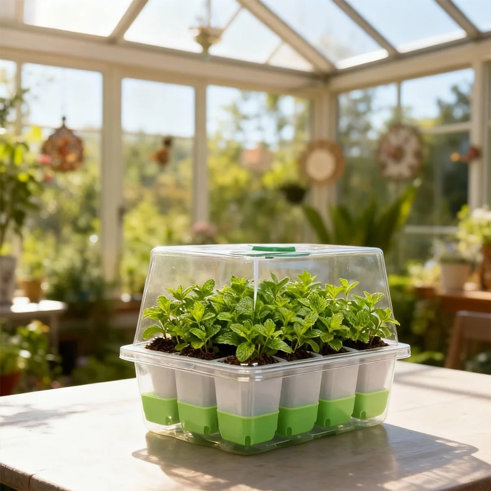 12 cell Seedling Starter Tray  - Seed Starter Trays 评论和价格