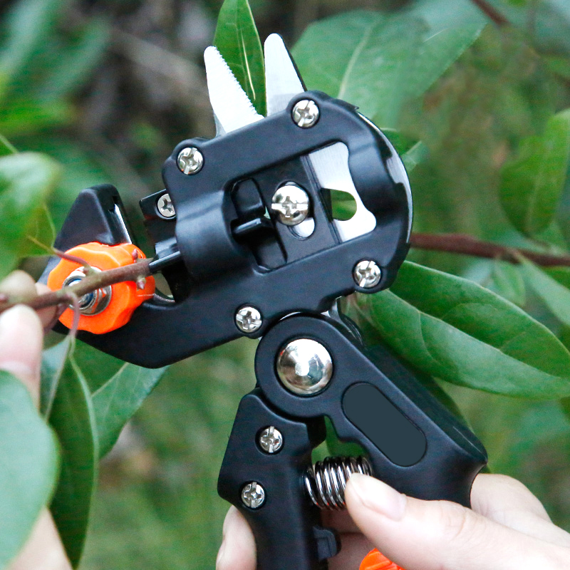 Grafting Film Grafting Scissor - Gardening Tools To Cut Branches 评论和价格
