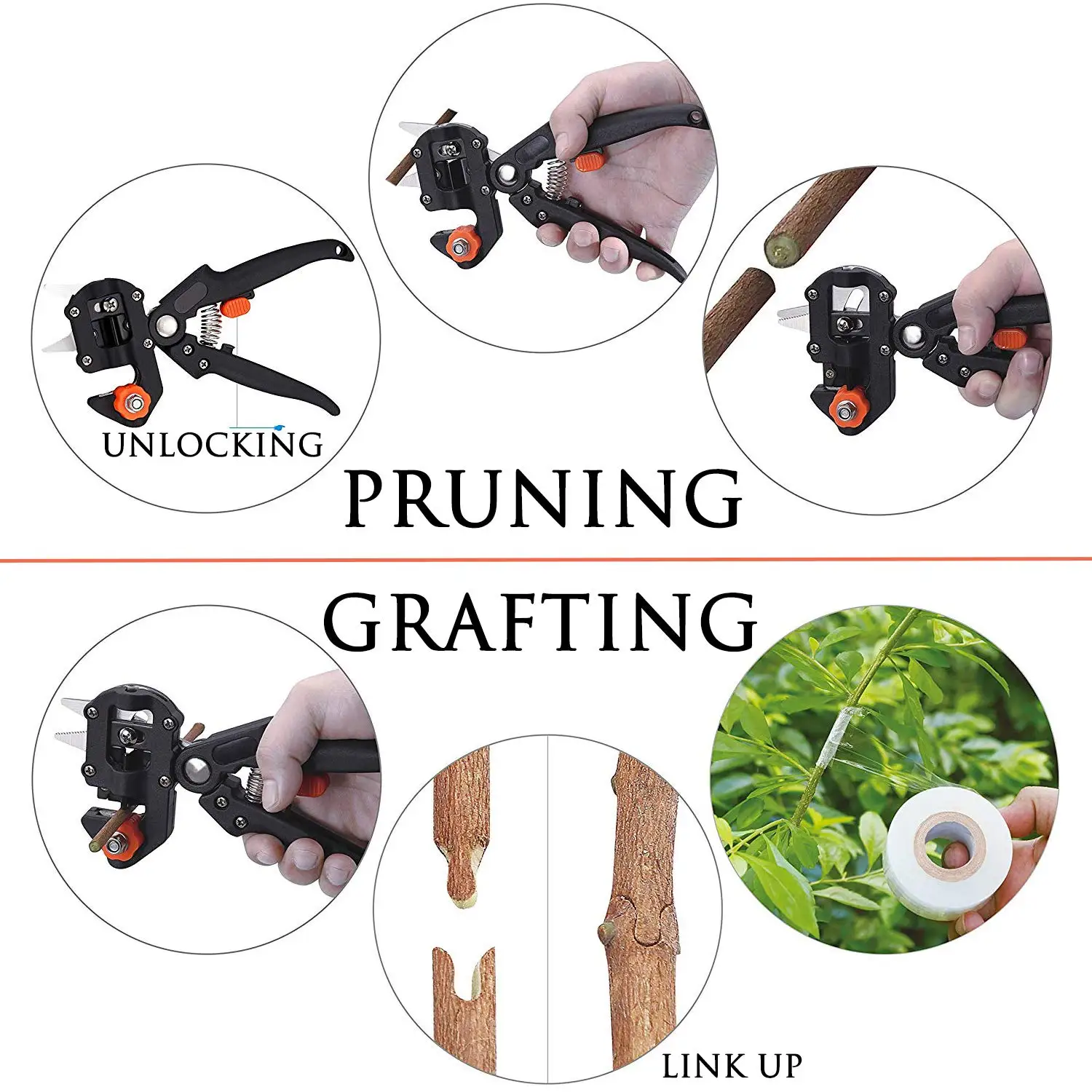 Grafting Film Grafting Scissor - Gardening Tools To Cut Branches 评论和价格