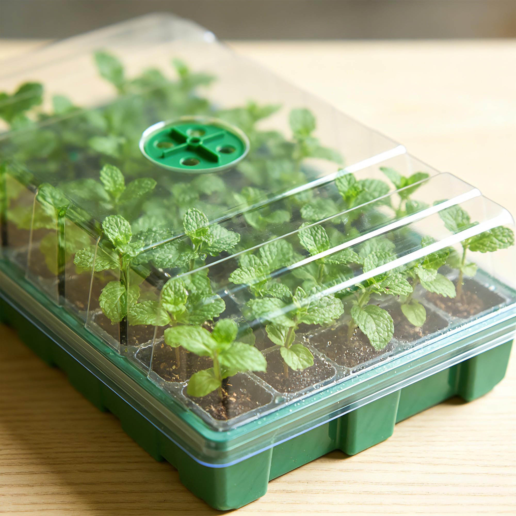 With Transparent Cover Greenho - Seed Starter Trays 评论和价格