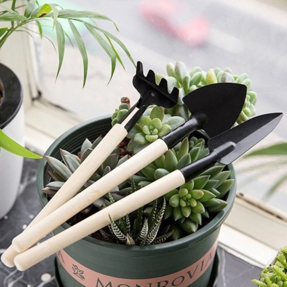 3PC/Set Mini Garden Tool Set G - Gardening Tools On Sale 评论和价格