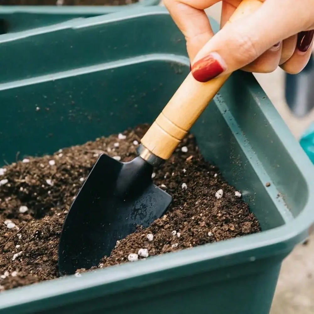 3PC/Set Mini Garden Tool Set G - Gardening Tools On Sale 评论和价格
