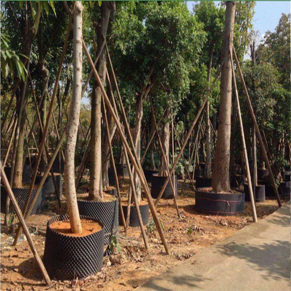 Grow Container Garden Tree Bon - Gardening Tools 评论和价格