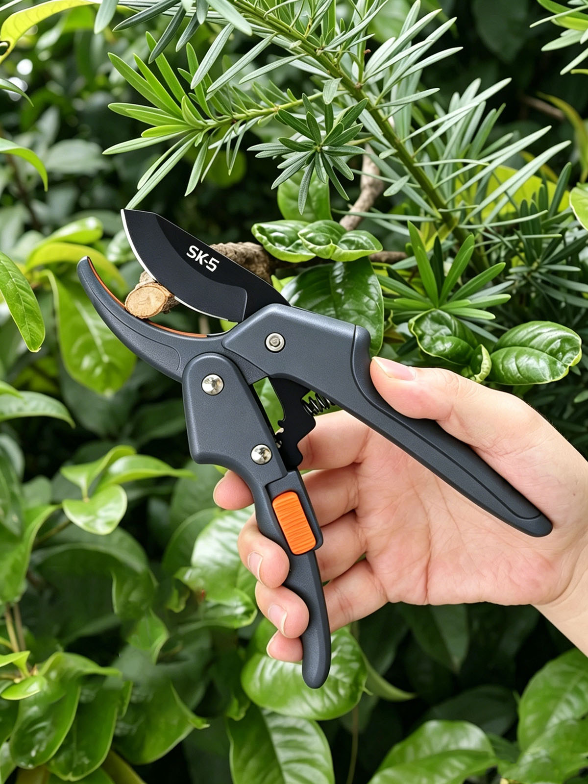 SK5 Stainless Steel Pruning Sh - Gardening Tools To Cut Branches 评论和价格