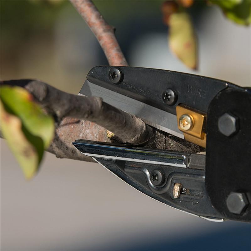 3In1 Plant Trim Horticulture P - Gardening Tools To Cut Branches 评论和价格