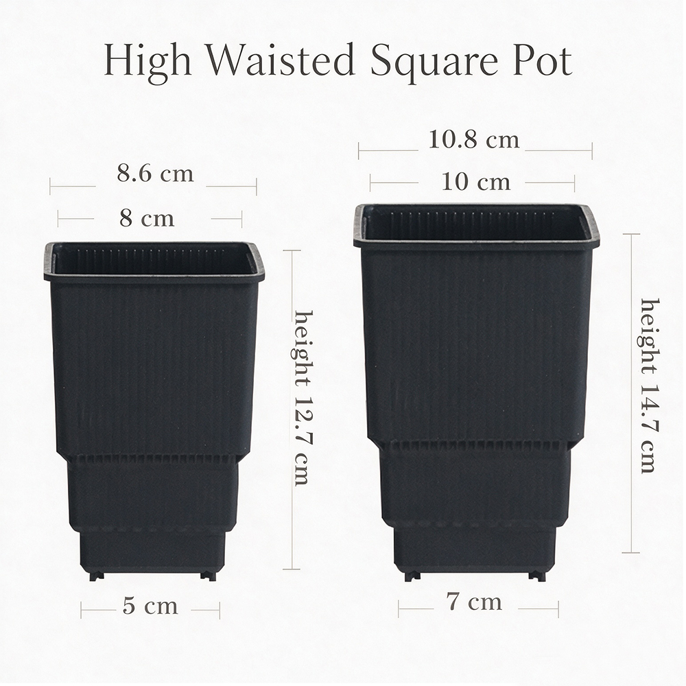 Meshpot High Waisted Square Nu - Seed Starter Trays 评论和价格