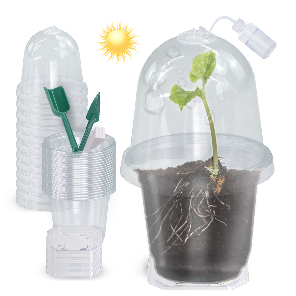 160x90CM Visible Clear Plants  - Seed Starter Trays 评论和价格