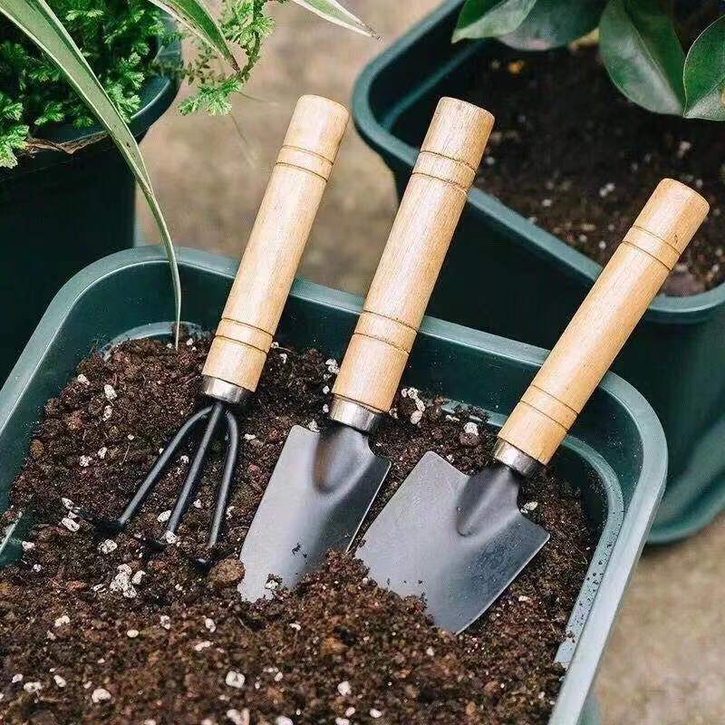 3PC/1Set Mini Gardening Tools  - Gardening Tools Equipment 评论和价格