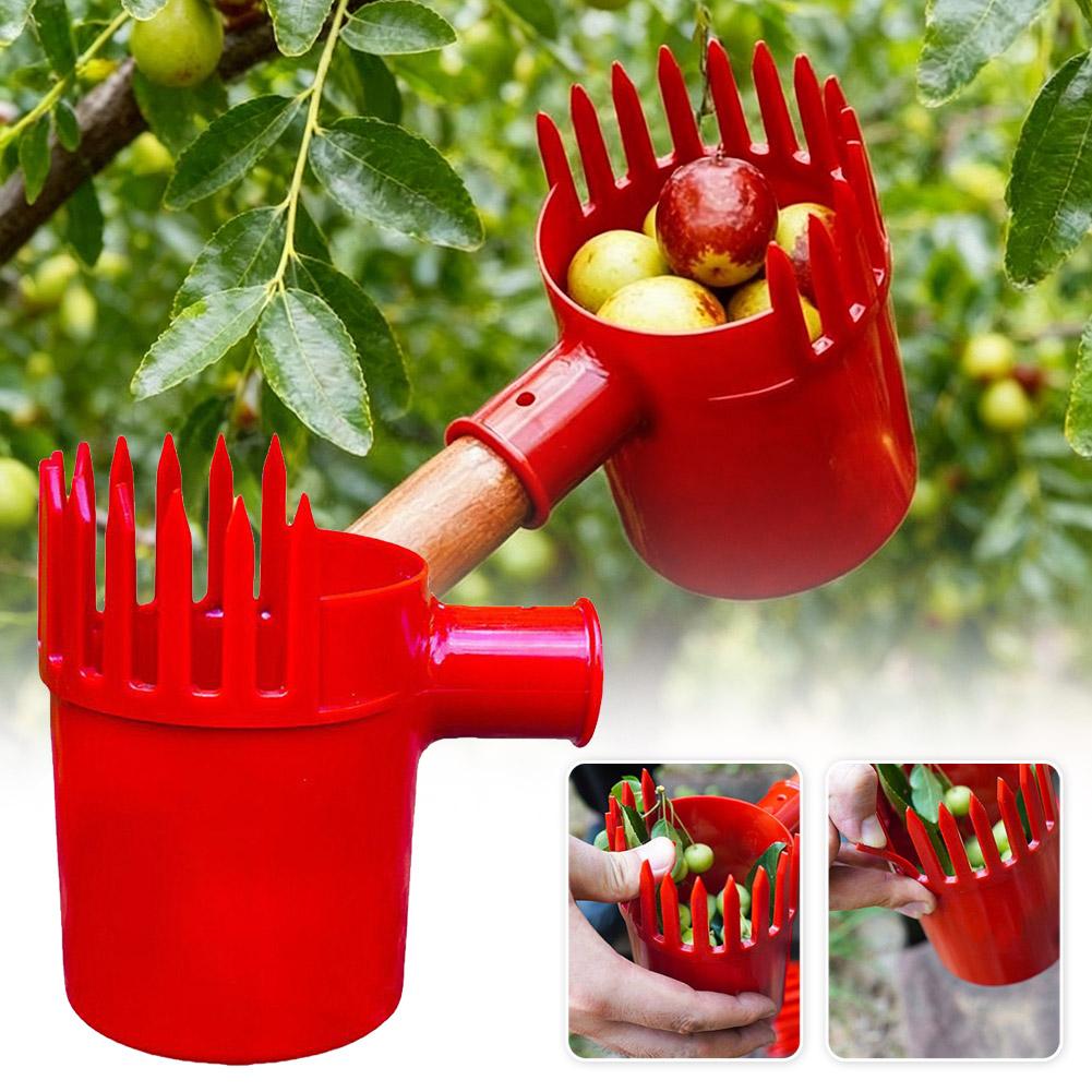 Fruit Picker Tool Portable Bas - Gardening Yard Tools 评论和价格