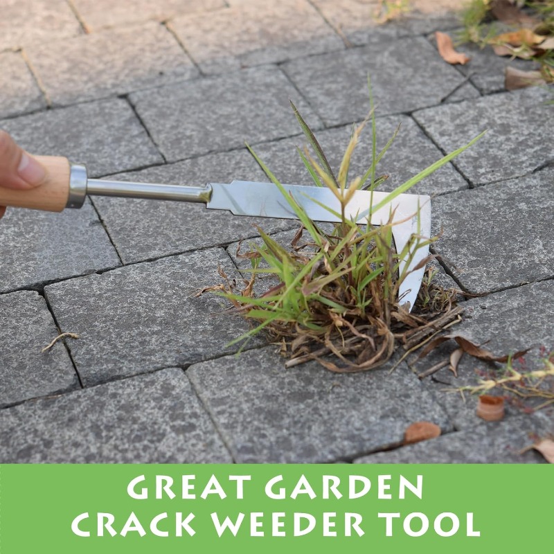 Stainless Steel Gap Weeding To - Gardening Tools On Sale 评论和价格
