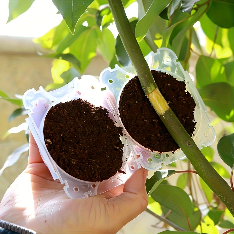 10Pcs High Pressure Plant Root - Gardening Tools Equipment 评论和价格