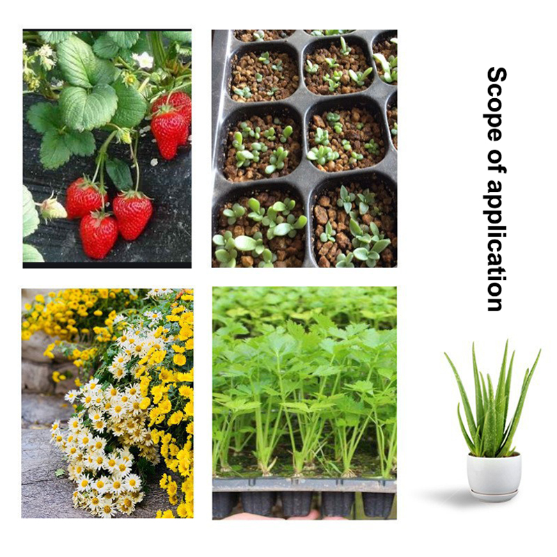 Hot 10Pcs Seedling Trays Plast - Seed Starter Trays 评论和价格